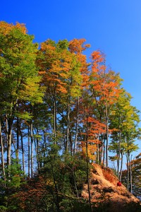 罗马击败乌迪内斯，取得连胜