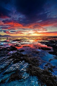 国际足坛精彩比赛，球队雄起展现实力