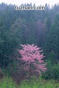 战绩背后的苦辣皆有，观众席情绪变幻莫测