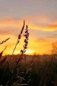 柏林赫塔击败对手，豪取三分稳固中游位置