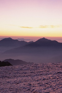 战绩背后的苦辣皆有，观众席情绪变幻莫测