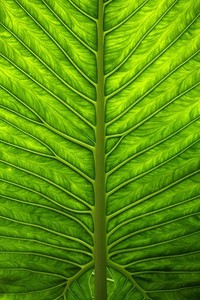 战绩背后的苦辣皆有，观众席情绪变幻莫测